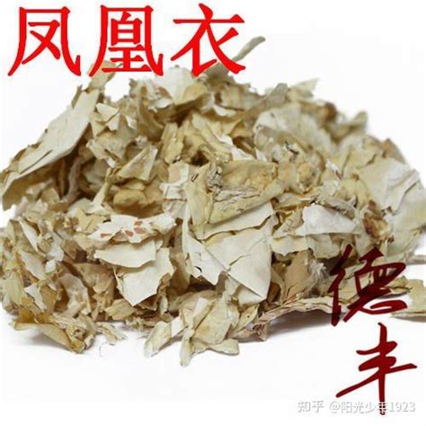 鳳凰衣的功效|有「鳳凰衣」美稱的蛋殼膜，真有這麼厲害？護關節、。